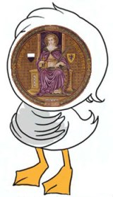 BruttoanatroccoloUnisi