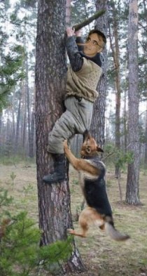 Can che abbaia non morde?